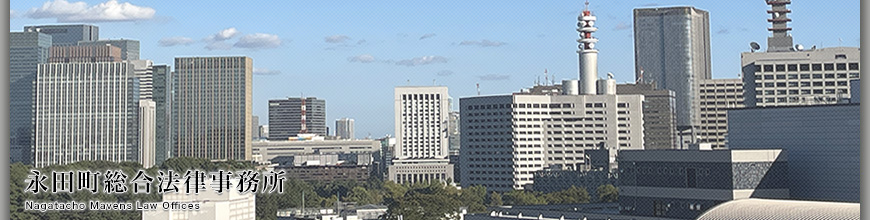 永田町総合法律事務所 ‐ Nagatacho Mavens Law Offices ‐ 