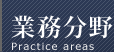 業務分野